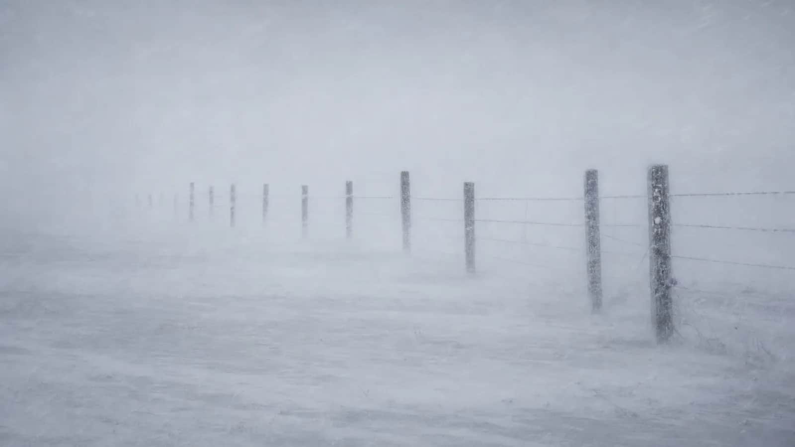 Snow blowing horizontally across a prairie whiteout, fence posts and wire nearly hidden in the storm