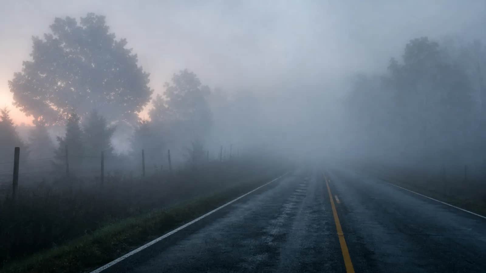 Dawn fog over a two-lane road, yellow center line visible, trees glowing with sunrise beyond