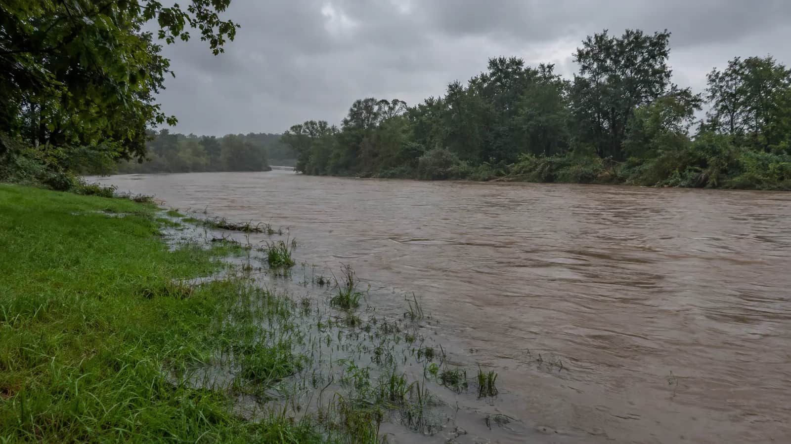 A muddy creek rises under a heavy grey sky, with a grassy bank partly submerged.