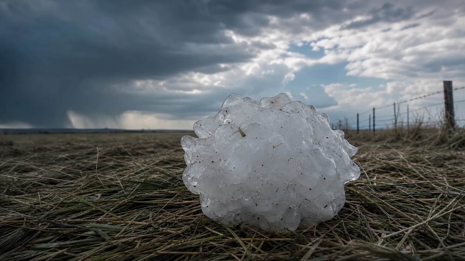 One huge spiky hailstone on grass, larger than a softball, dark storm sky and fence behind