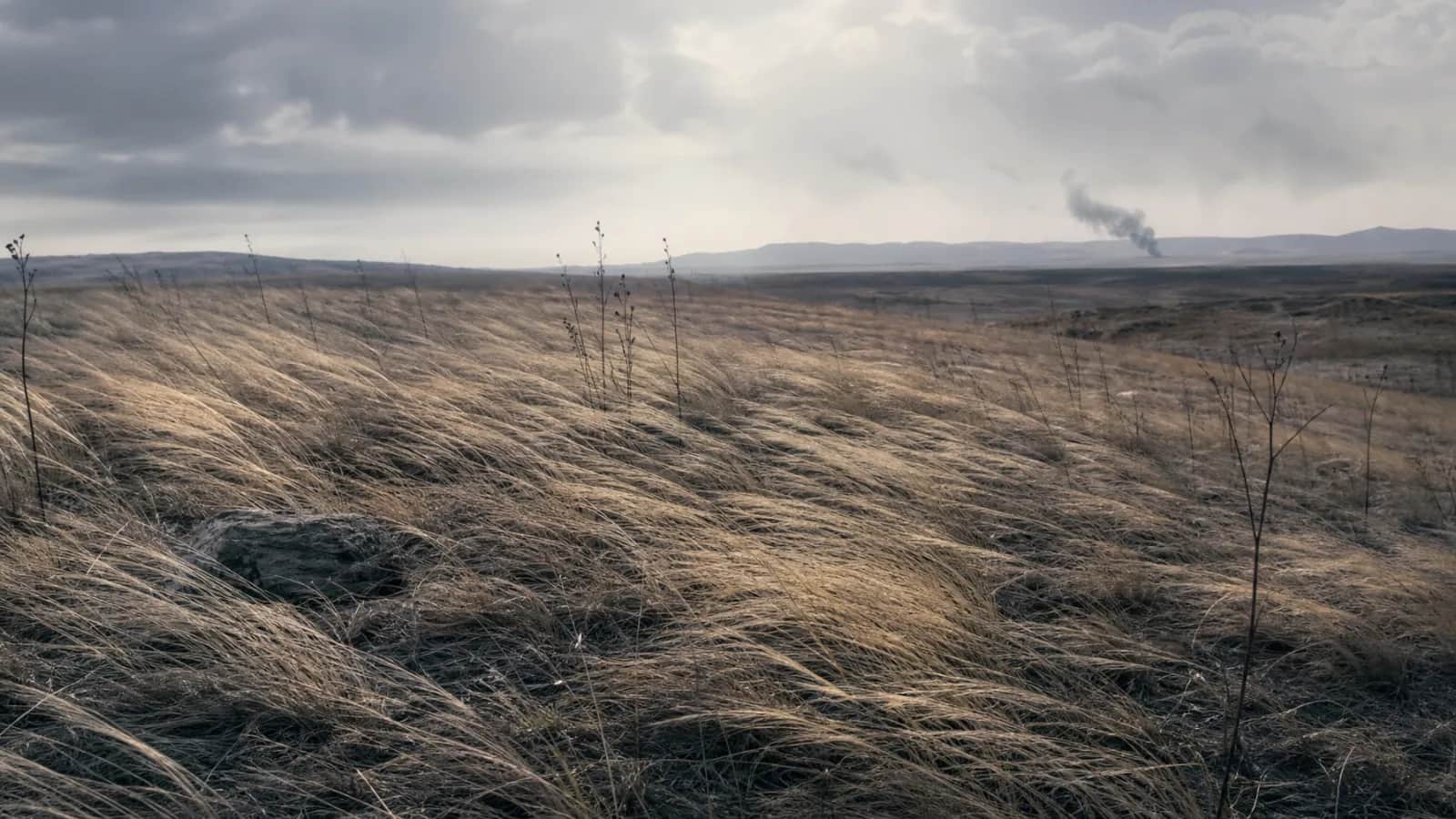 Dry grass bending in strong wind, a smoke column rising to an overcast horizon
