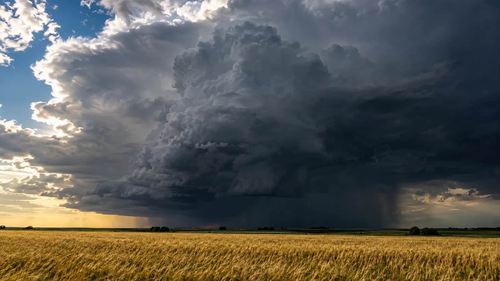 A towering dark cumulonimbus cloud rises over flat plains, with a sunlit field in the foreground.