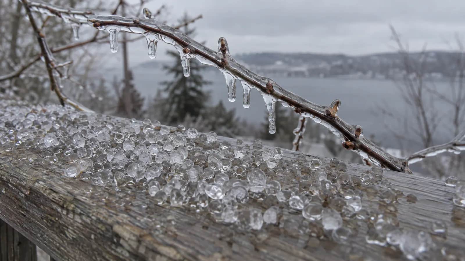 Small clear ice pellets rest in a pile on a wooden deck rail while a nearby twig wears a coat of clear ice, all under flat grey winter light.