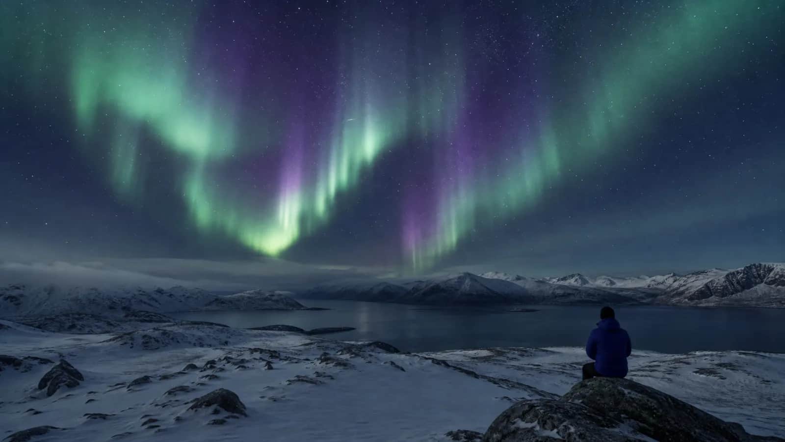 Green and purple aurora curtains over snowy peaks and a fjord, person seated on a rock