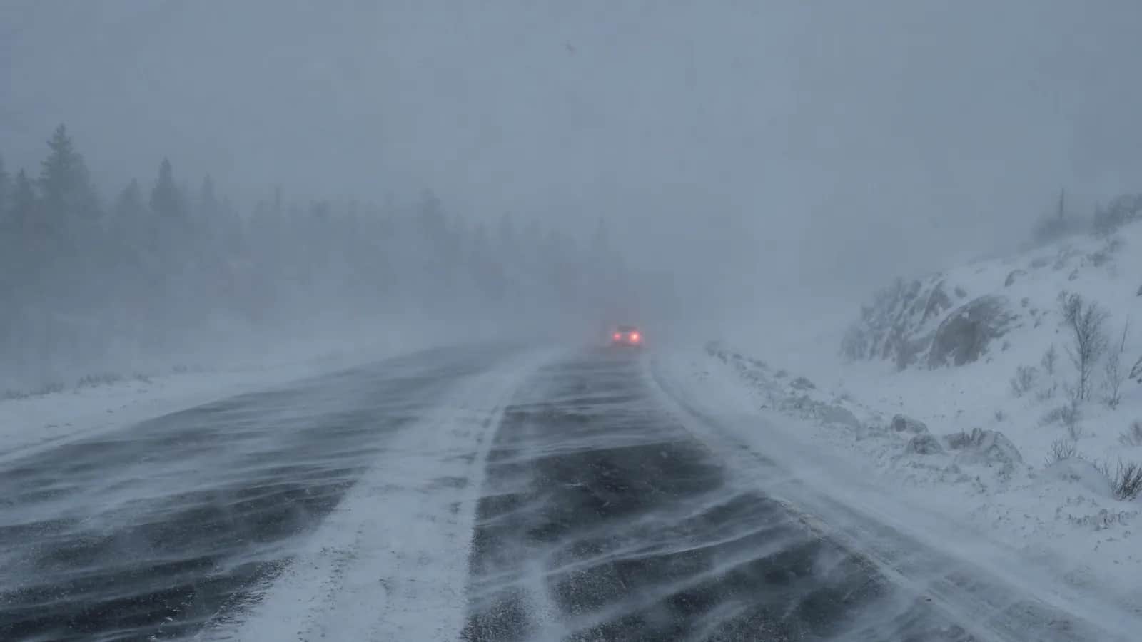Mountain road in a blizzard, drifting snow and taillights ahead, evergreens barely visible